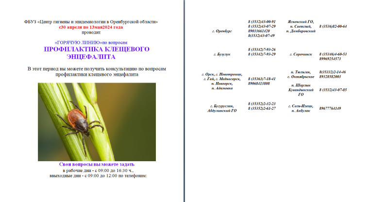 ПРОФИЛАКТИКА КЛЕЩЕВОГО ЭНЦЕФАЛИТА.